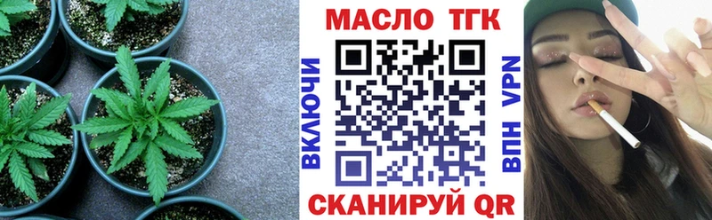 Купить  Кыштым  ТГК концентрат 