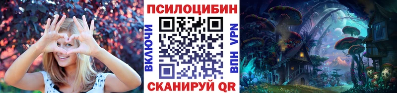 Купить закладки  Кыштым  Галлюциногенные грибы Cubensis 